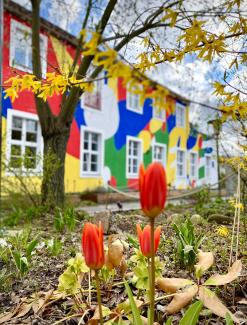 ufaFabrik - Internationales Kultur Centrum – Bild 6