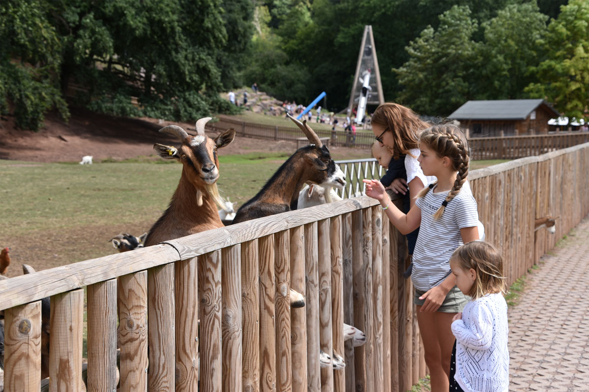 Wildpark Silz – Bild 4