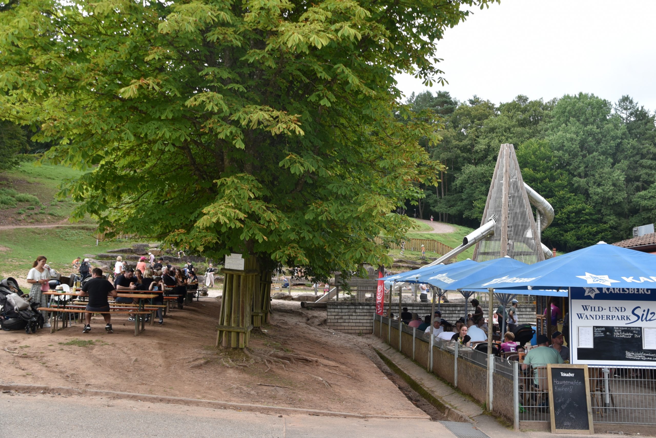 Wildpark Silz – Bild 5