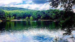 Greenbrier Park – Bild 4