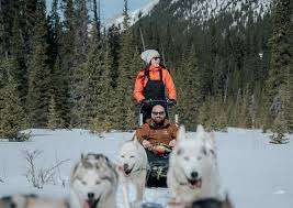 Snowy Owl Sled Dog Tours Inc – Bild 3