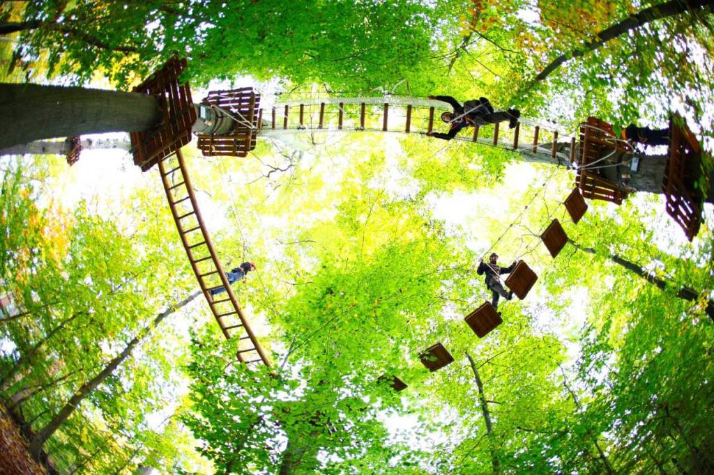 Kletterwald Darmstadt / Weitblick Naturerlebnis GmbH – Bild 2