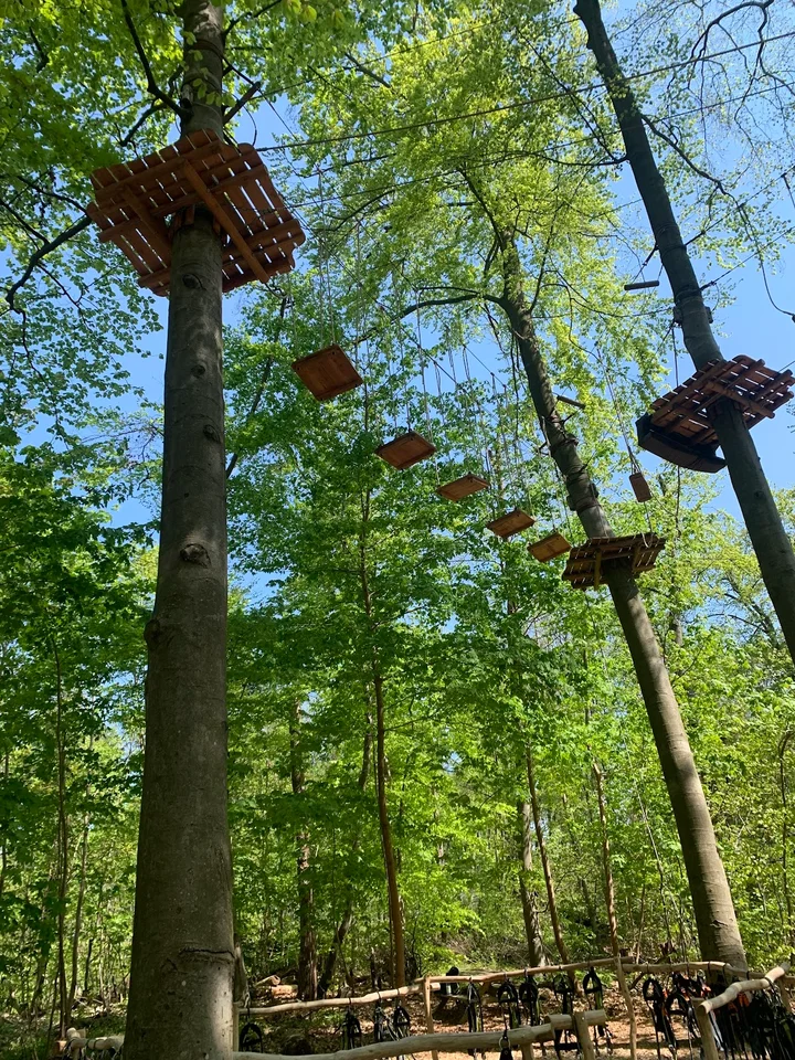 Kletterwald Darmstadt / Weitblick Naturerlebnis GmbH – Bild 3