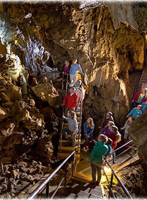 Wildpark Bilsteintal Parkplatz P1 – Bild 6