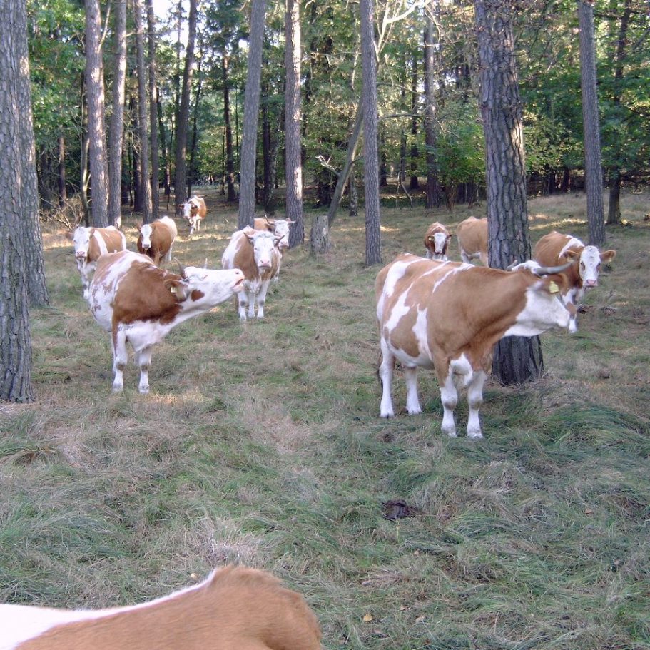 Ökohof Wobst – Bild 5