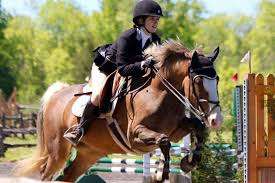 Canyon Creek Farm – Bild 4