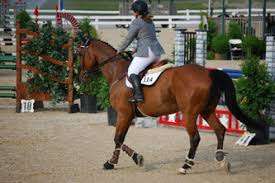 Canyon Creek Farm – Bild 6