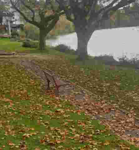 Keltenpark – Bild 3