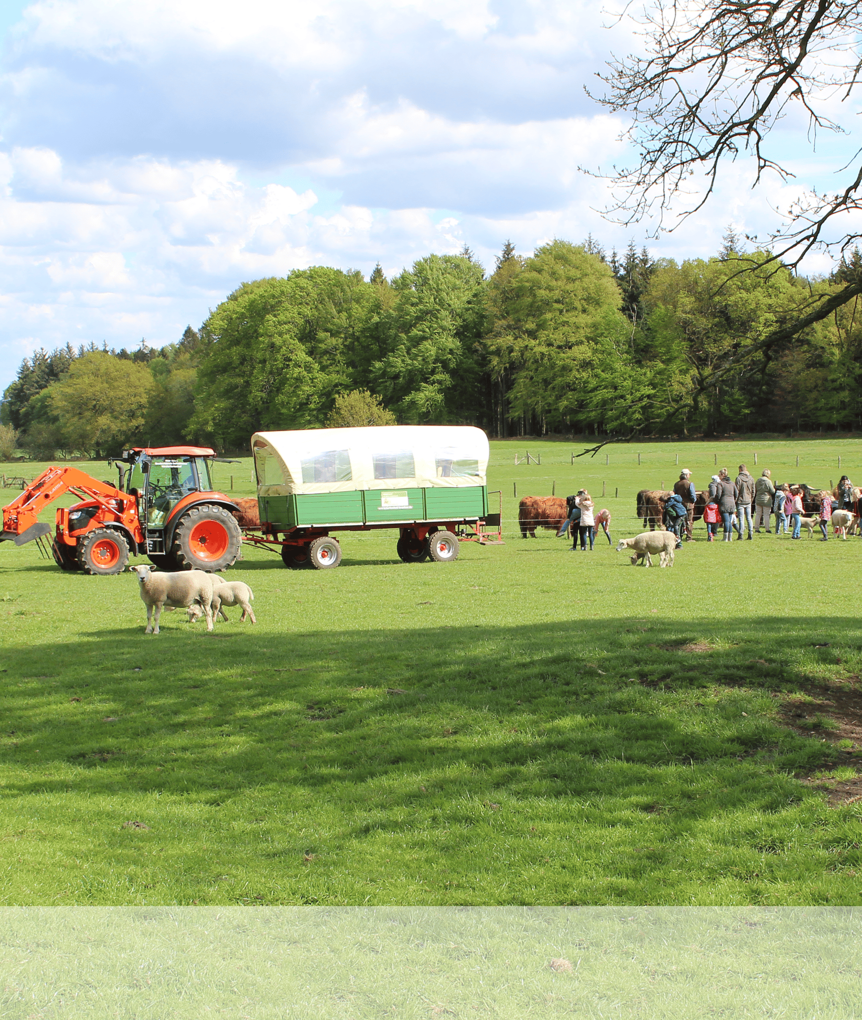 Erlebnisbauernhof Bracker – Bild 3