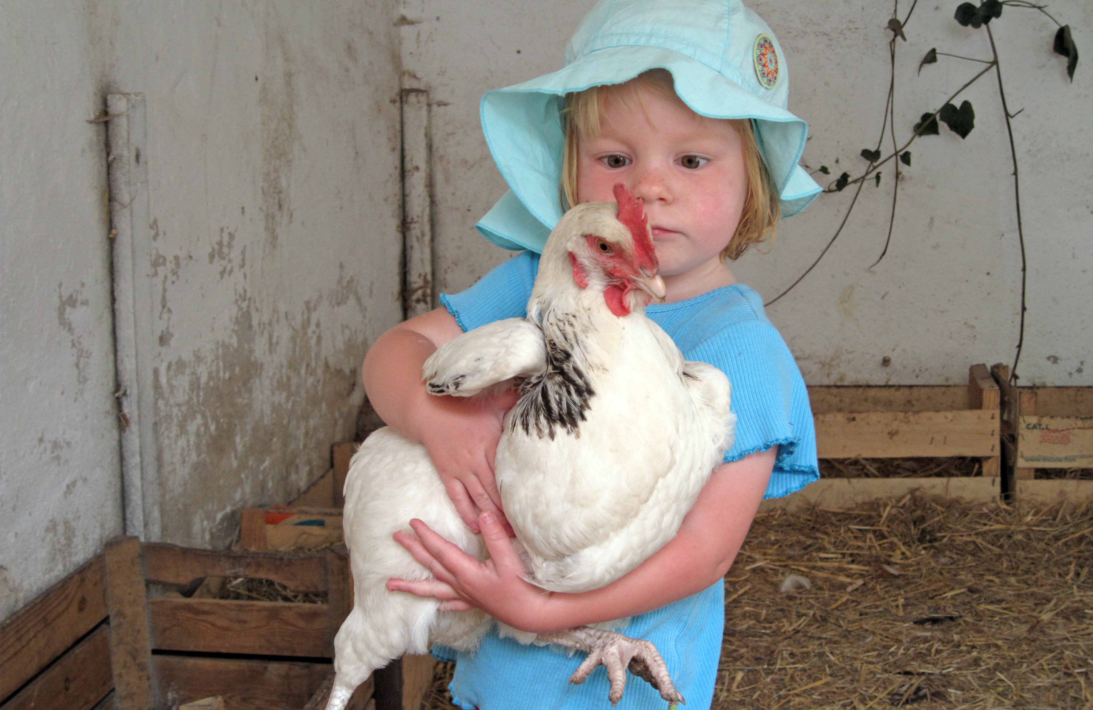 Erlebnisbauernhof Bracker – Bild 4