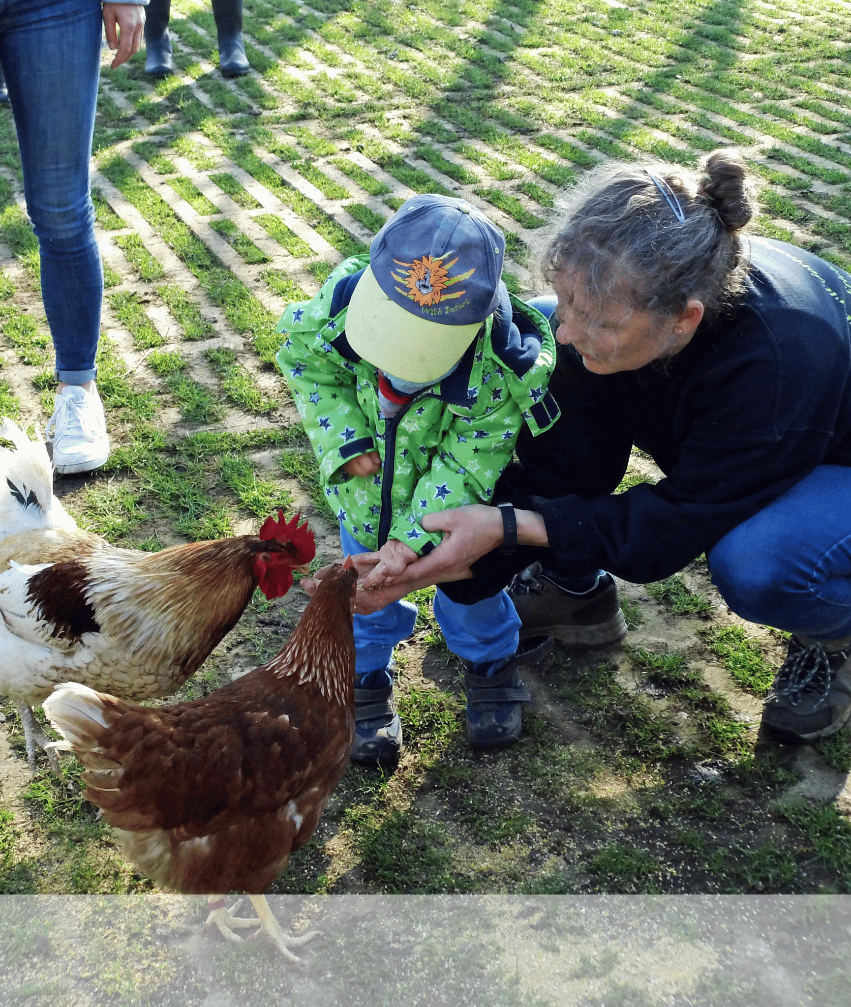 Erlebnisbauernhof Bracker – Bild 5