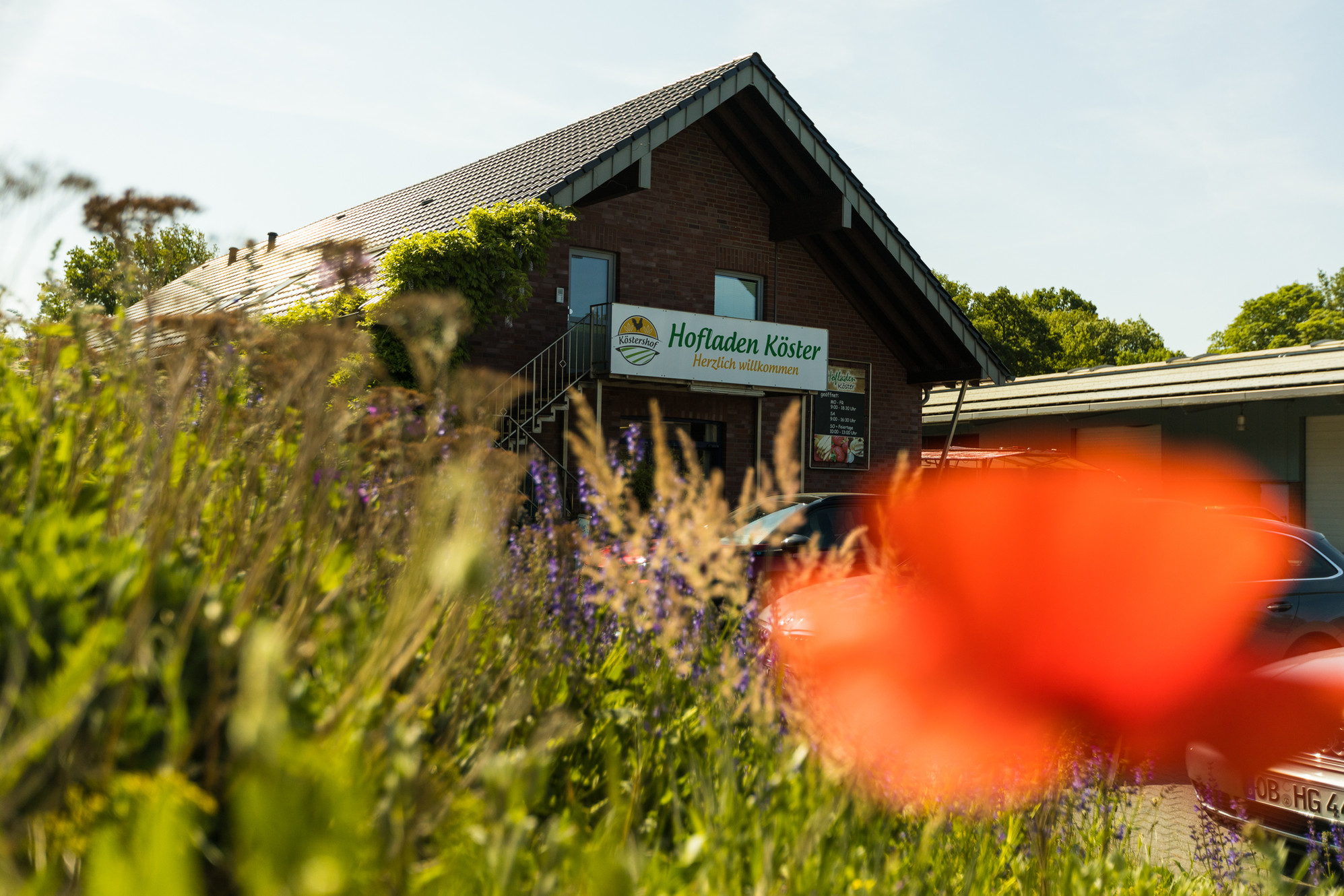 Hofladen Köster – Bild 2