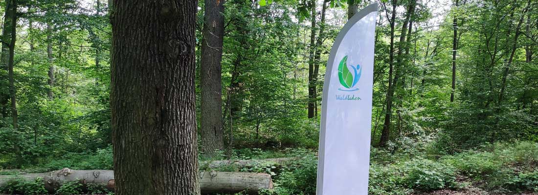 Wanderparkplatz Spießborn – Bild 4