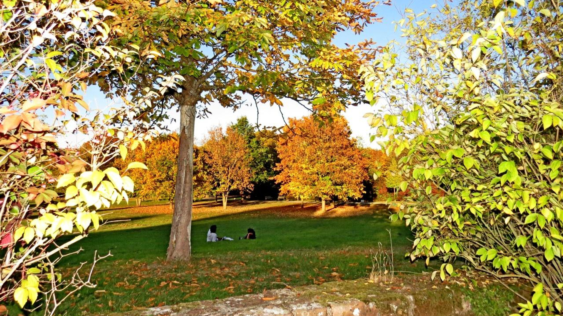 Stadtpark Wittlich – Bild 2