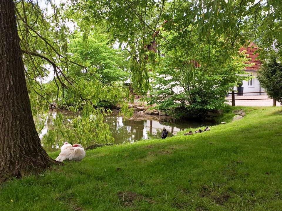 Mitmachhof Baustrup - Ferien auf dem Bauernhof – Bild 3