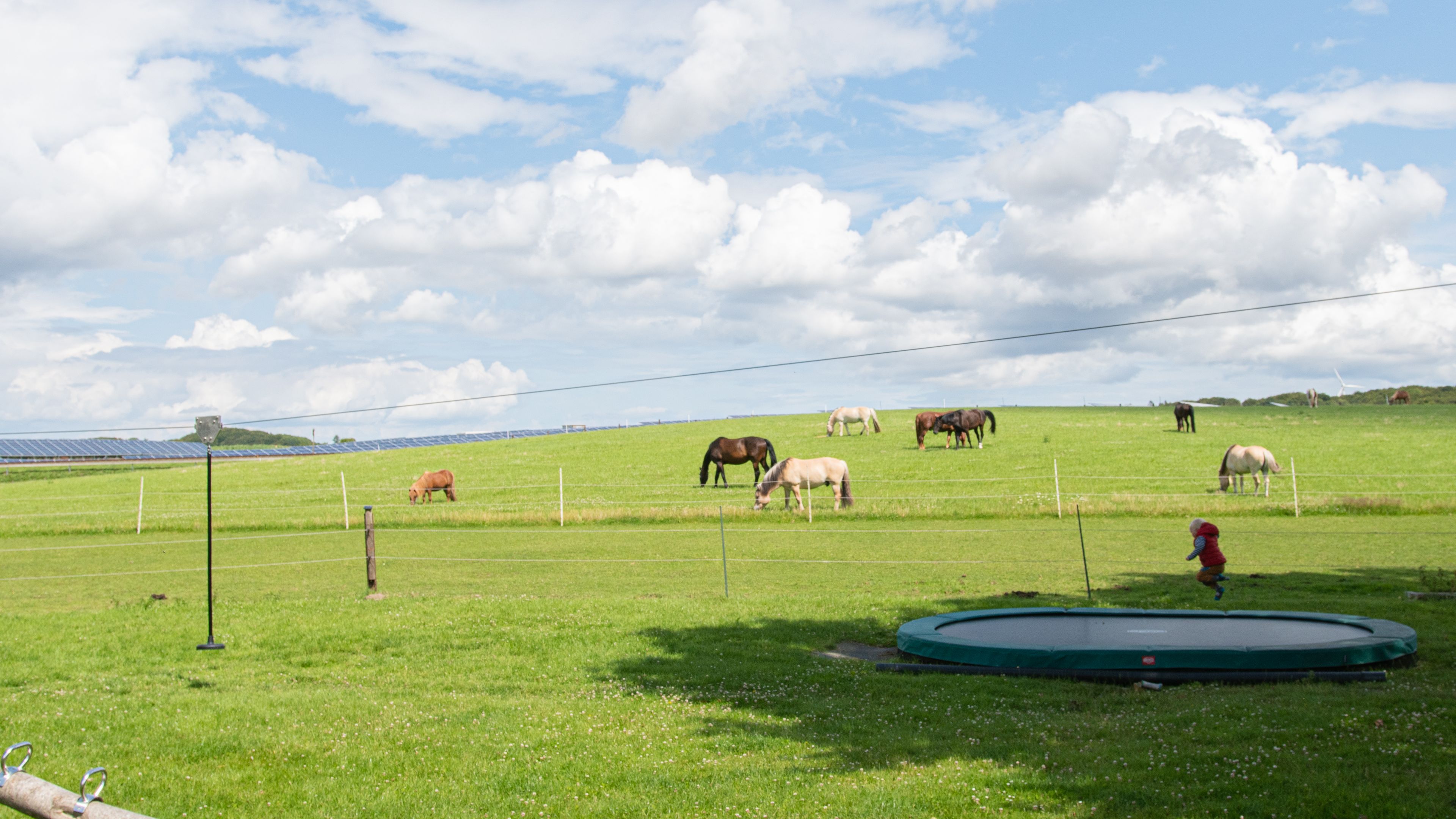 Mitmachhof Baustrup - Ferien auf dem Bauernhof – Bild 5
