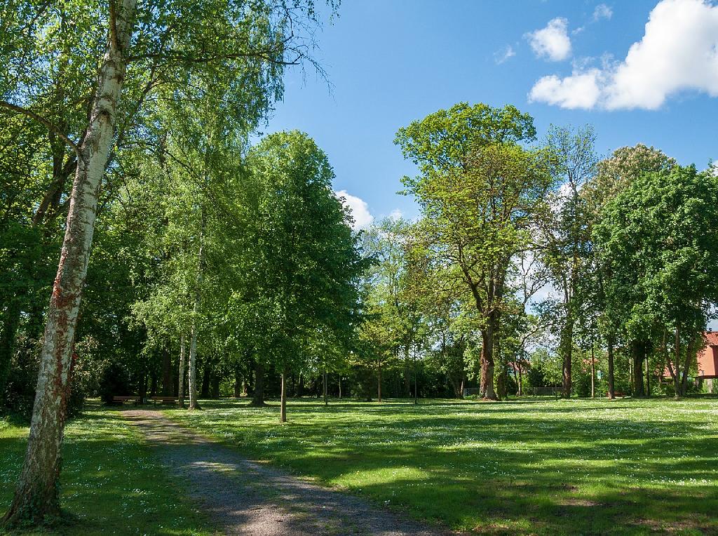 Schlosspark – Bild 3