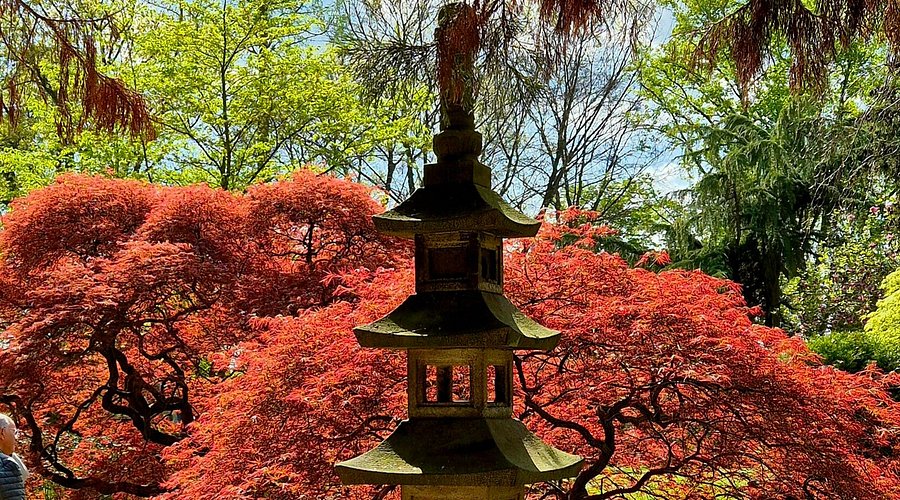 Japanischer Garten Leverkusen – Bild 4