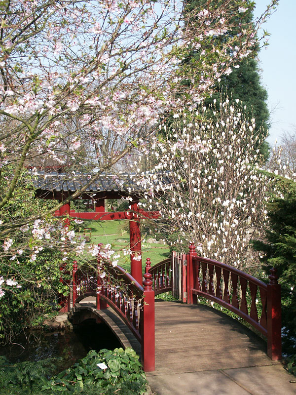 Japanischer Garten Leverkusen – Bild 5