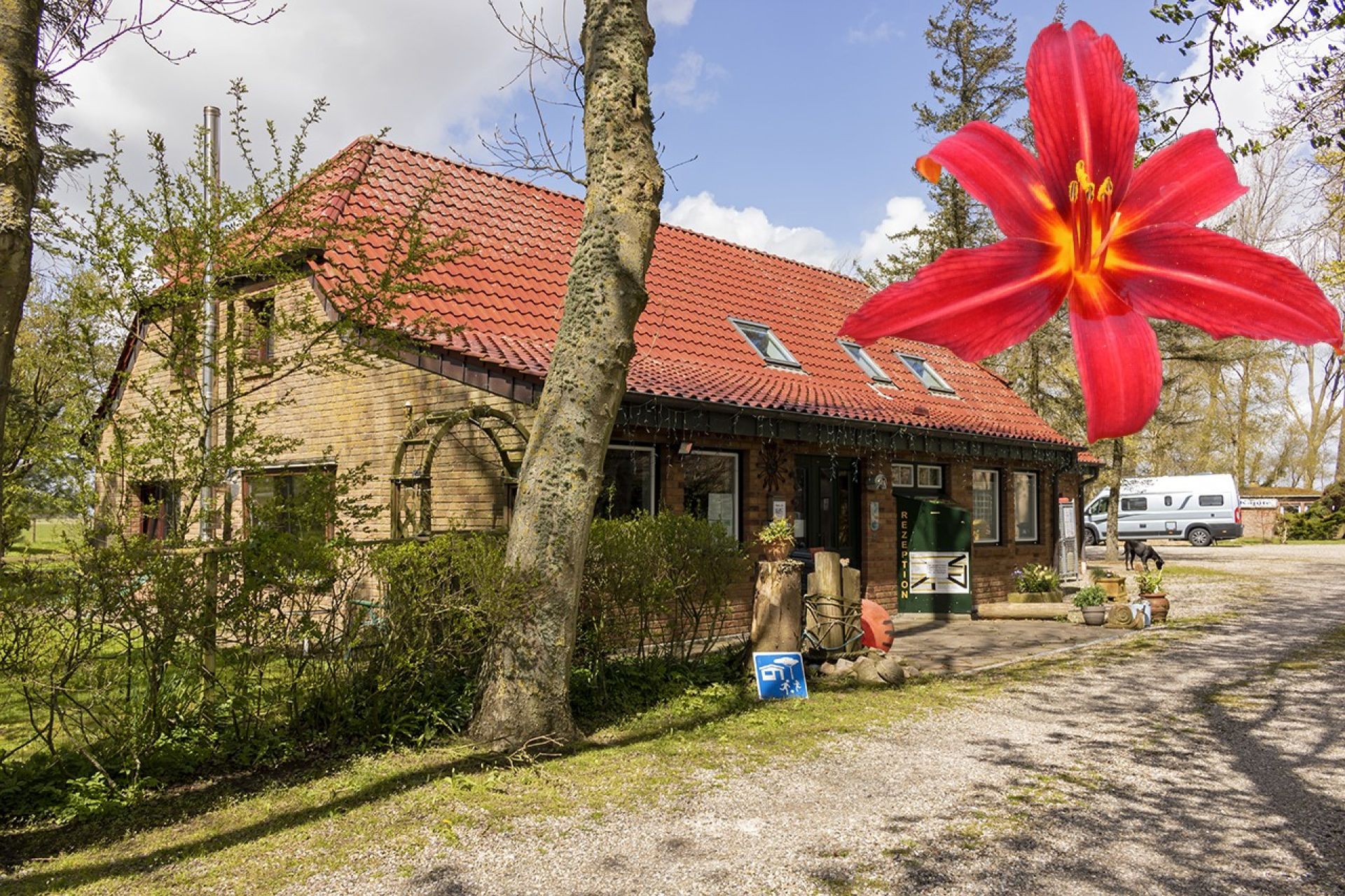 Campingplatz Lilienhof – Bild 3