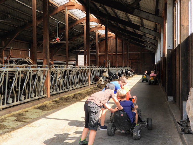 Kuhlerbü Ferien- und Freizeitangebote auf dem Bauernhof – Bild 2