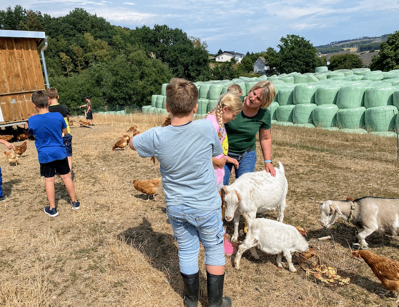Kuhlerbü Ferien- und Freizeitangebote auf dem Bauernhof – Bild 3