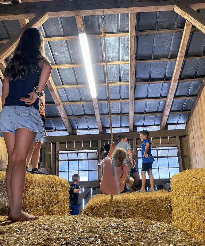 Kuhlerbü Ferien- und Freizeitangebote auf dem Bauernhof – Bild 4