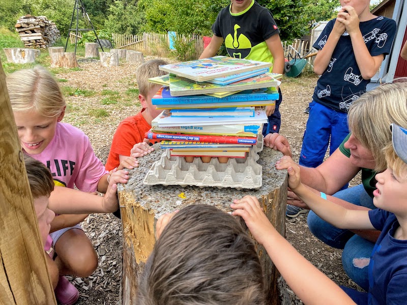Kuhlerbü Ferien- und Freizeitangebote auf dem Bauernhof – Bild 5
