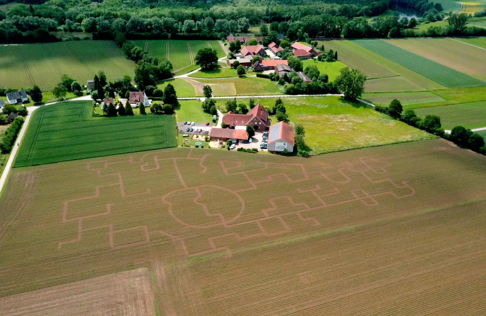 Maislabyrinth Bad Oeynhausen von „Das Mauerwerk“ und „Schmidt Agrar GmbH“ – Bild 3
