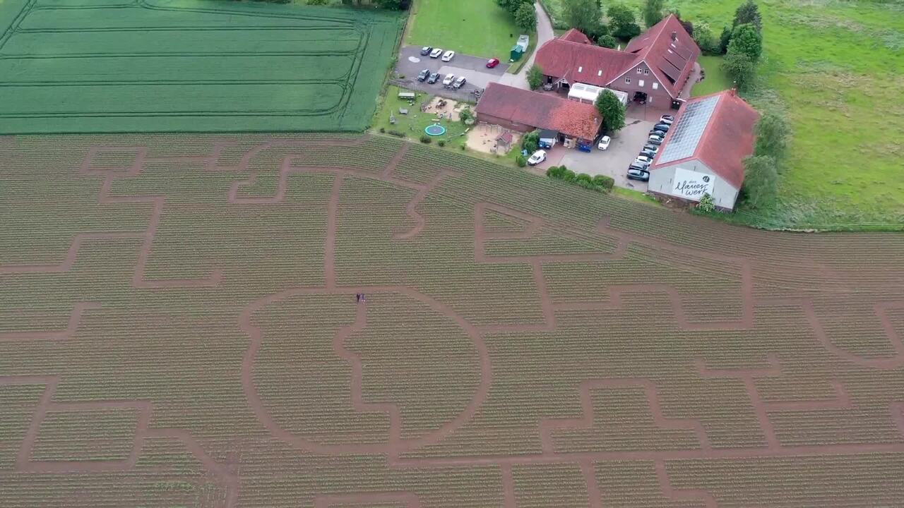 Maislabyrinth Bad Oeynhausen von „Das Mauerwerk“ und „Schmidt Agrar GmbH“ – Bild 4