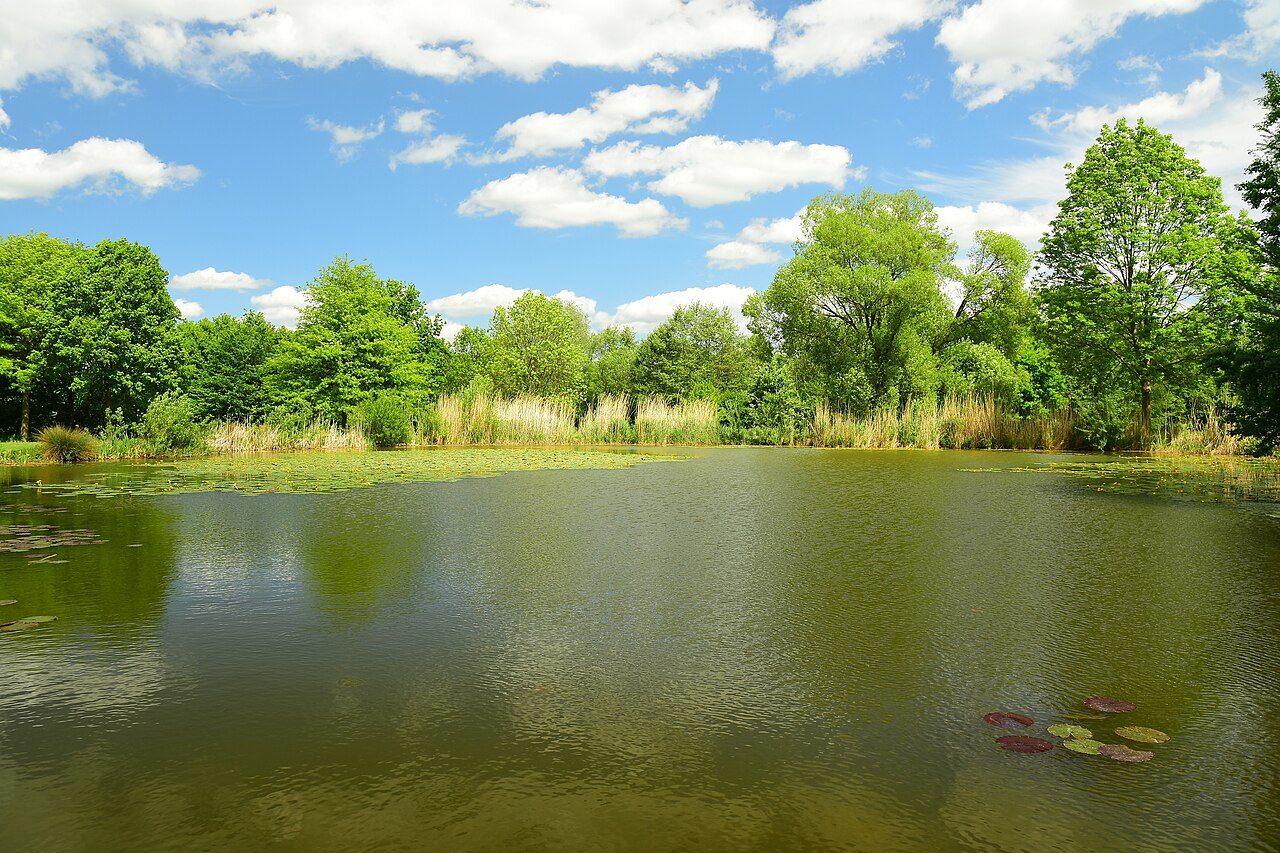 Fulda-Aue – Bild 2