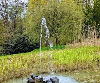 Fulda-Aue – Bild 6