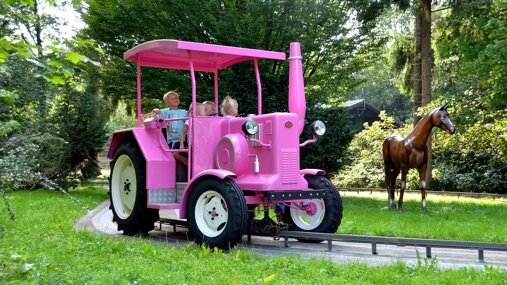 Familien-Freizeitpark Tolk-Schau – Bild 2
