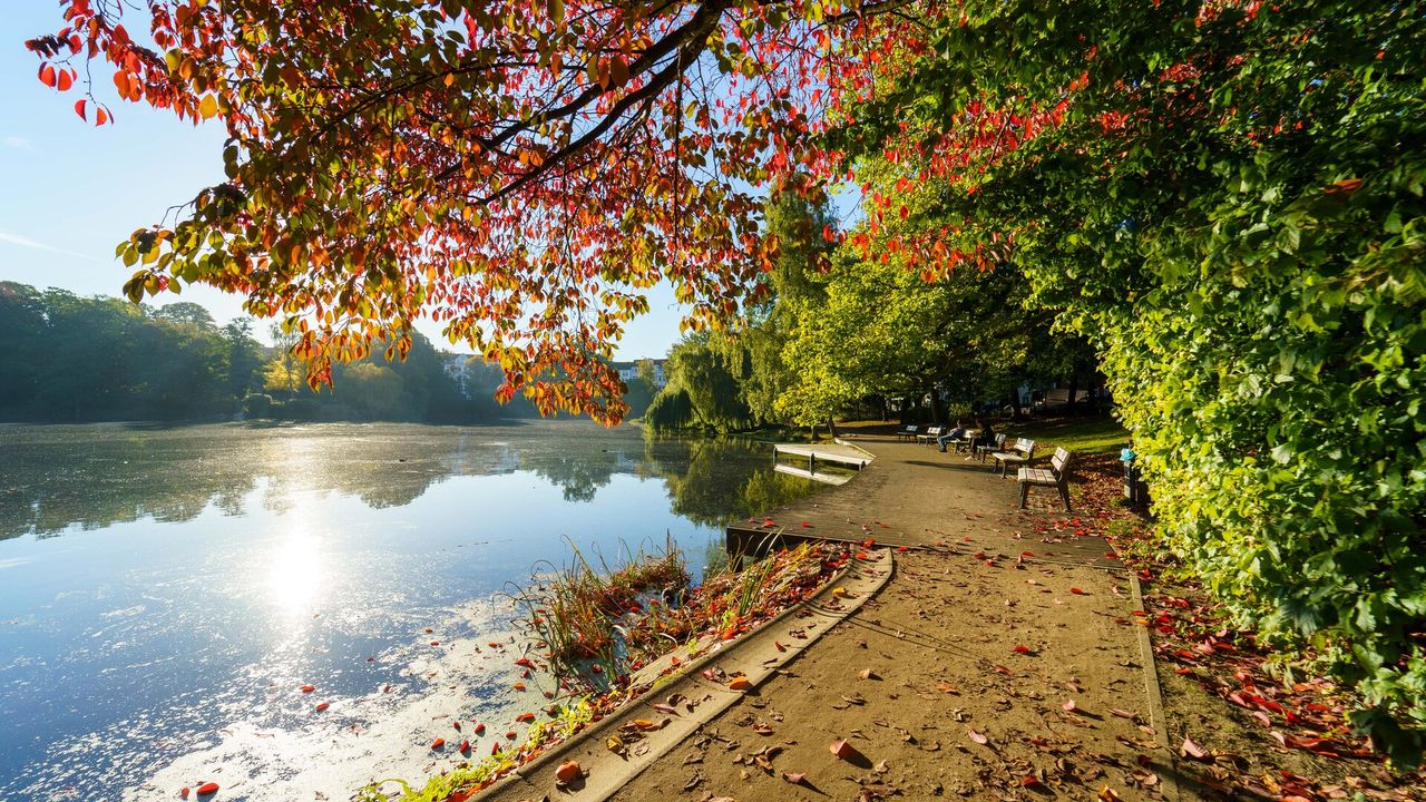 Schrevenpark – Bild 2