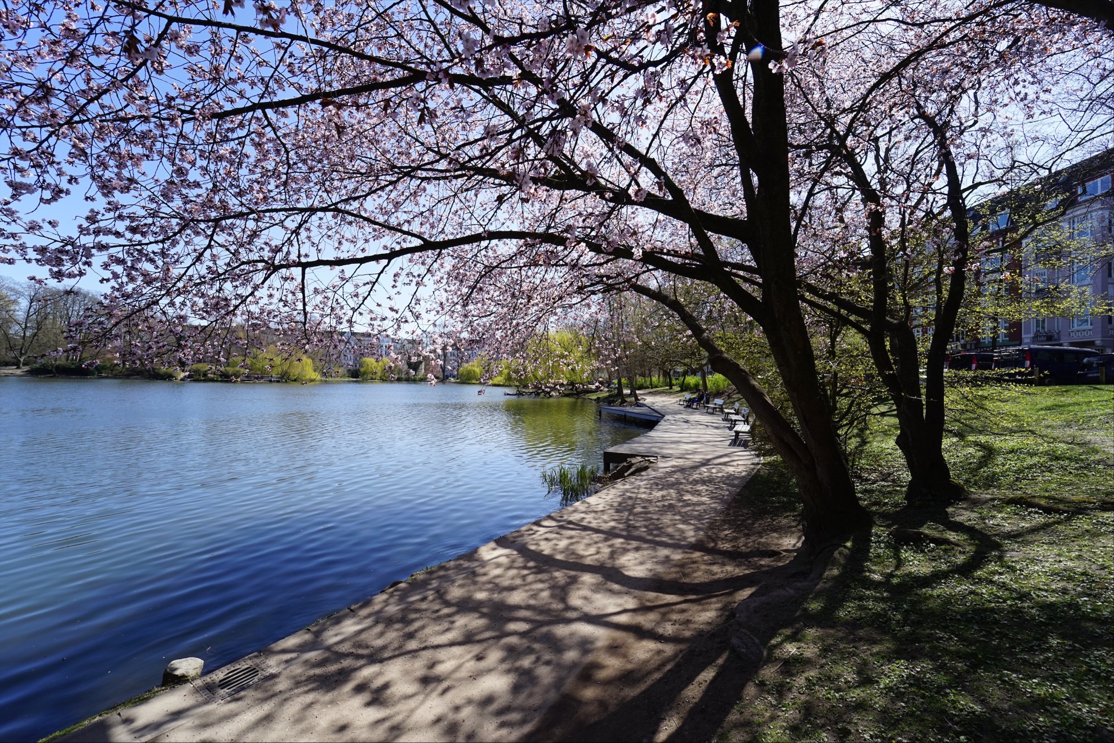 Schrevenpark – Bild 3