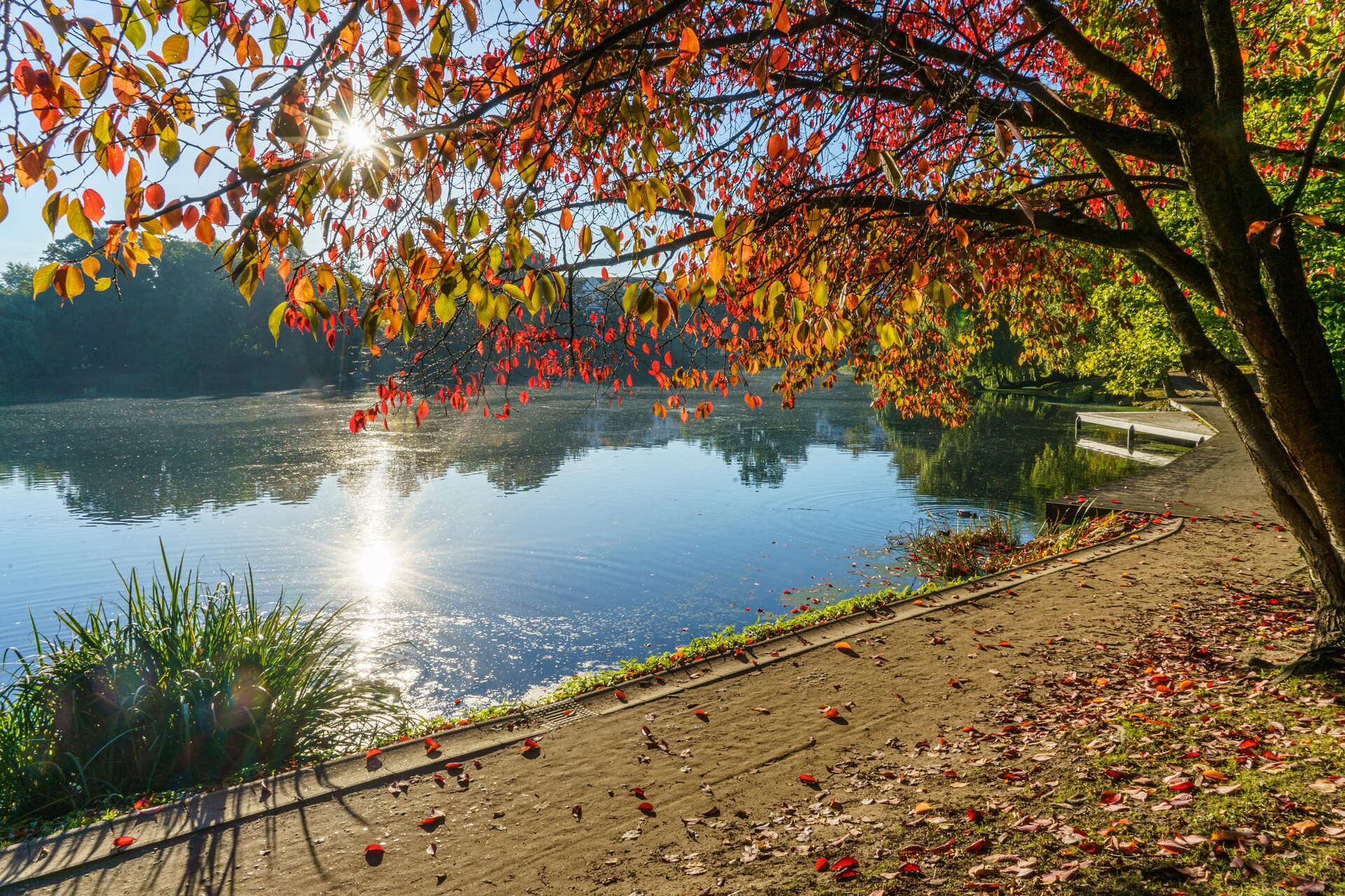 Schrevenpark – Bild 6