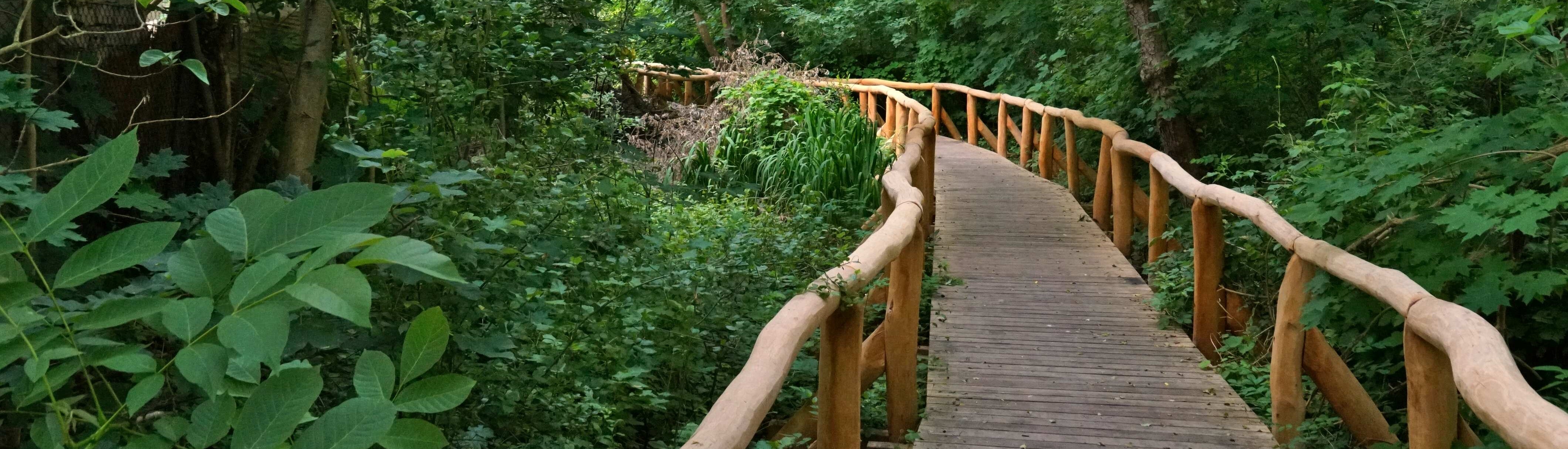 Barfußpfad Försterweg Erkner – Bild 3