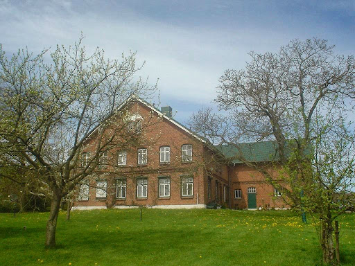 Nutztier-Arche Hof Steindamm GbR – Bild 1