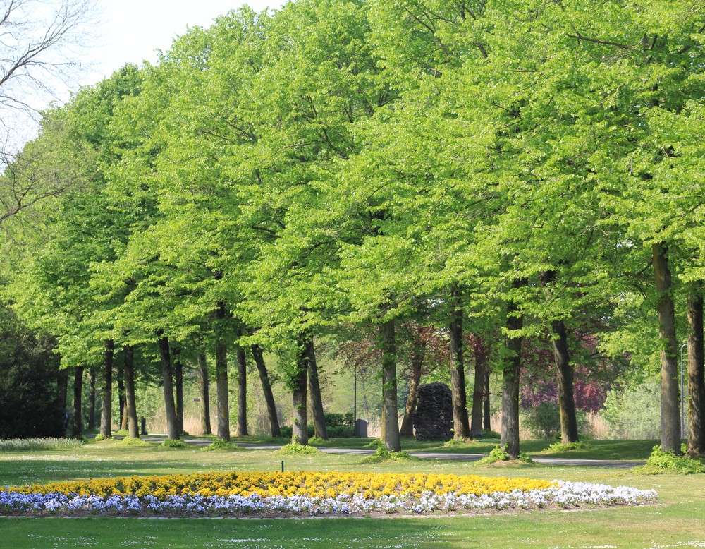 Emsseepark – Bild 3