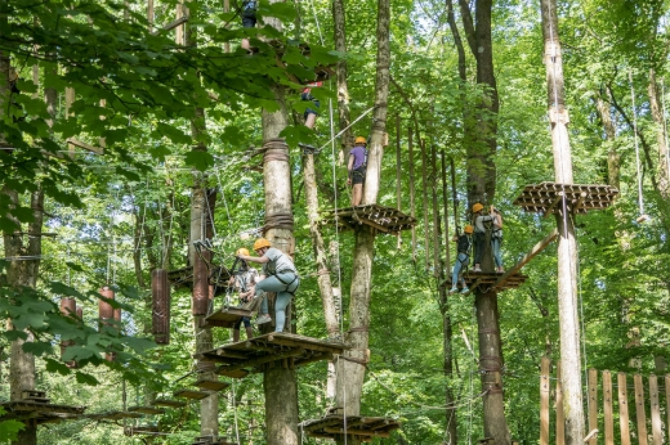 Kletterwald Bad Marienberg – Bild 4