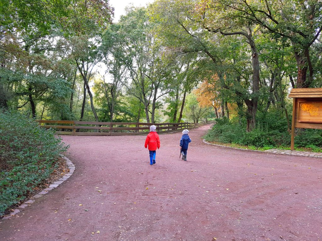 Aussichtspunkt Südpark – Bild 6