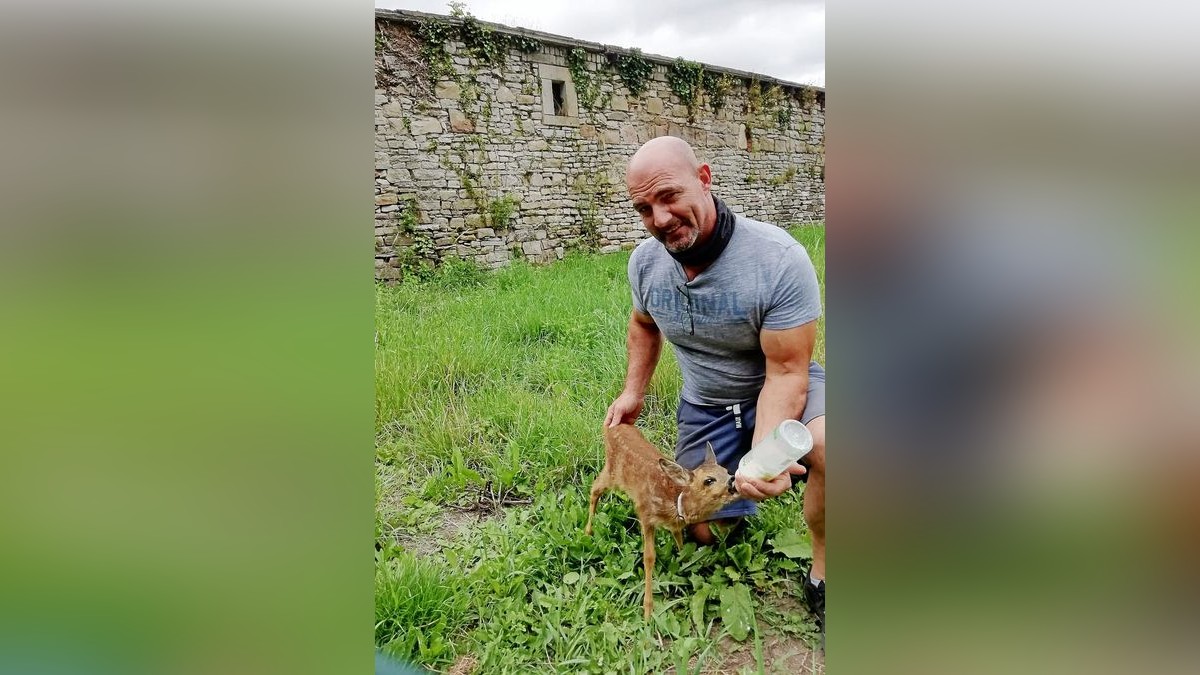 Kinderspass Frank – Bild 5