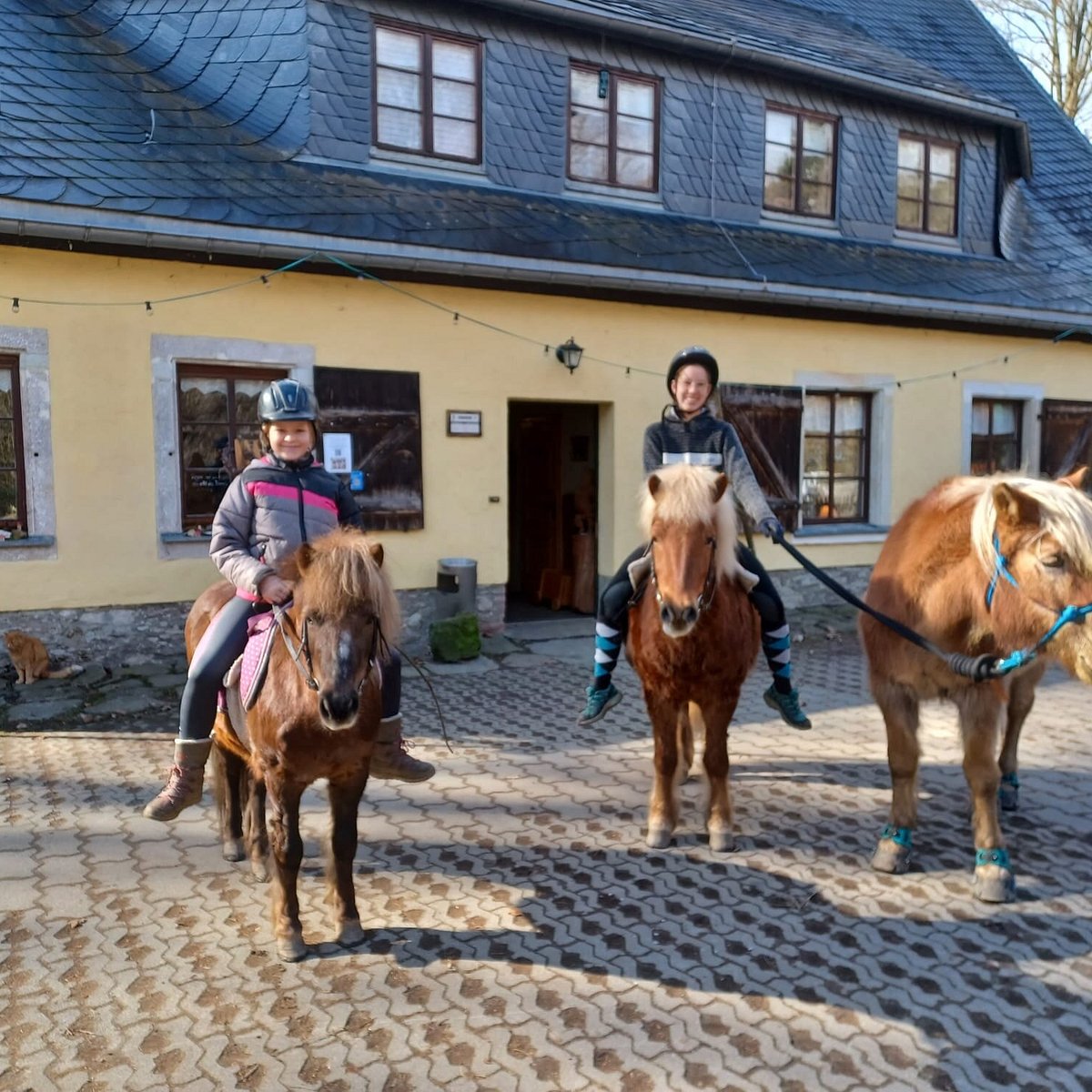 Pferde - und Ponyausleihstation "Markus Röhling" – Bild 3