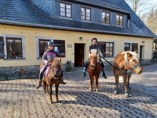 Pferde - und Ponyausleihstation "Markus Röhling" – Bild 5