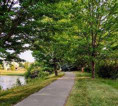 Bird Park – Bild 4