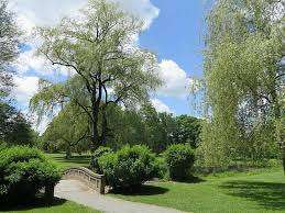 Bird Park – Bild 6