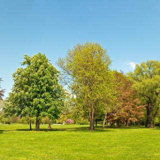 Stadtpark – Bild 2