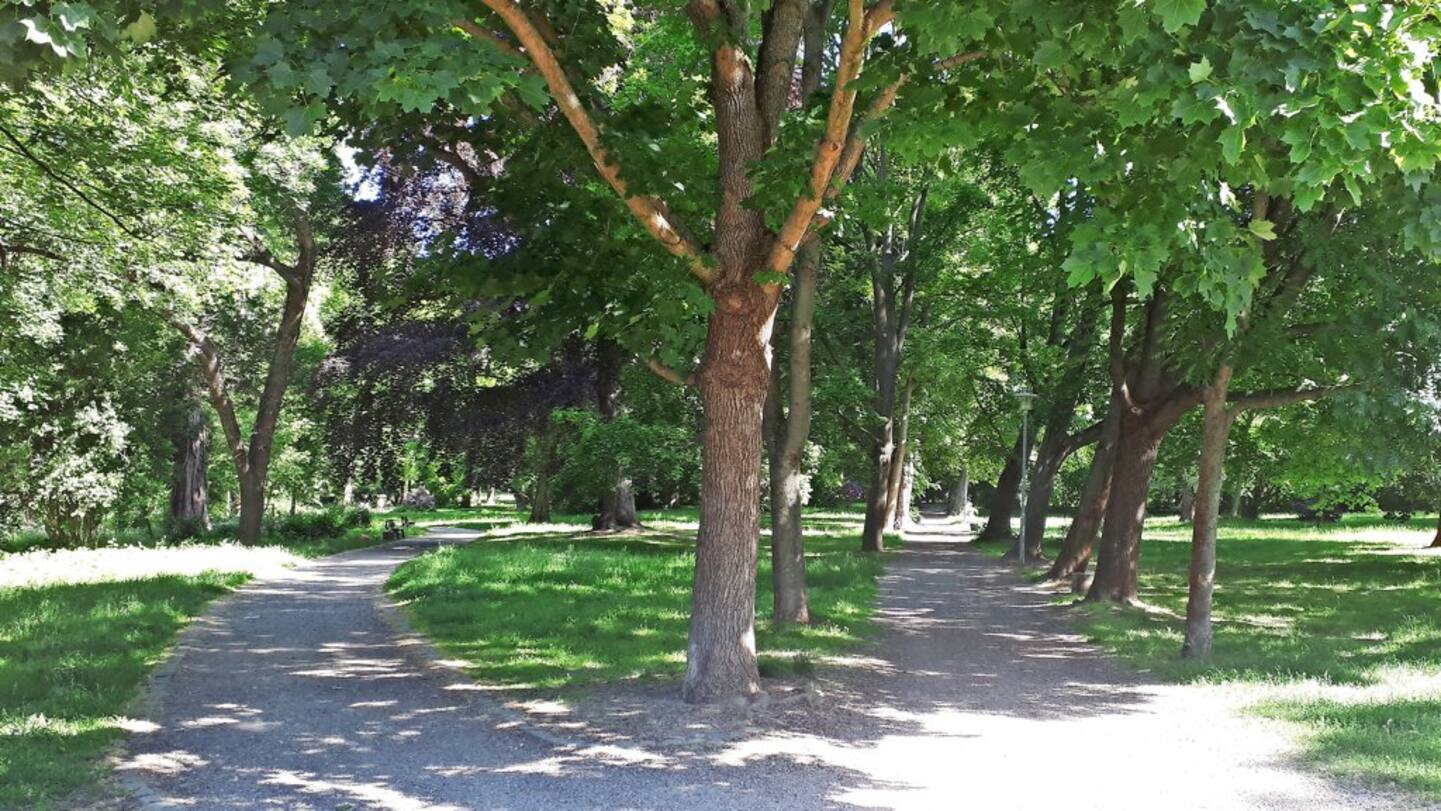 Stadtpark – Bild 5