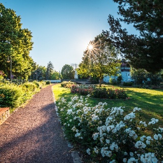 Stadtpark – Bild 6