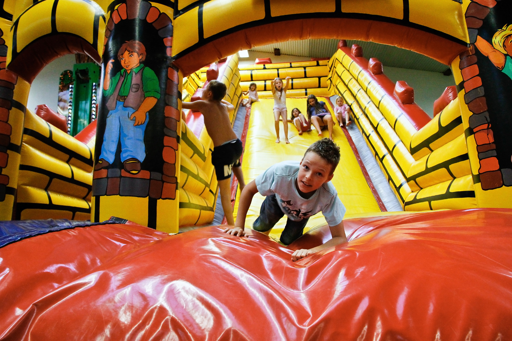 Tummel Dschungel – Bild 6